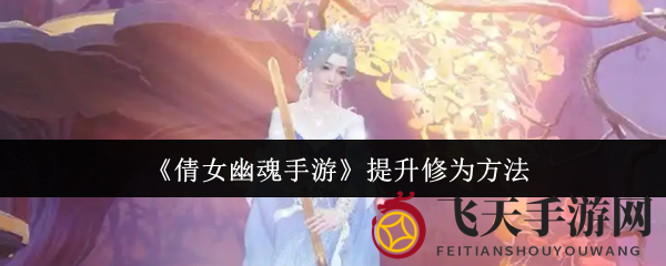 《倩女幽魂手游》修为飞跃攻略，高效提升秘籍大揭秘