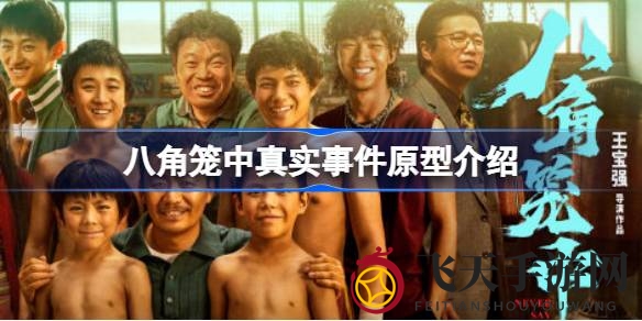 《八角笼中》揭秘：格斗孤儿背后的励志故事与争议引发关注