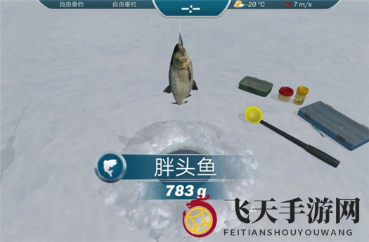 《冰钓大师》新手玩法攻略大全