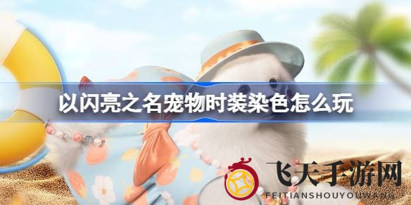 《以闪亮之名》时尚染色大爆发，宠物换装DIY潮流派对