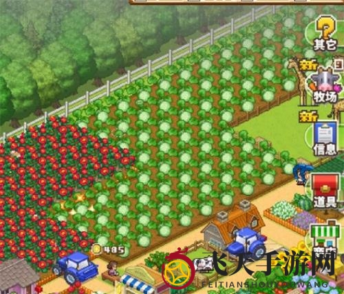 《像素牧场物语》道具使用全揭秘