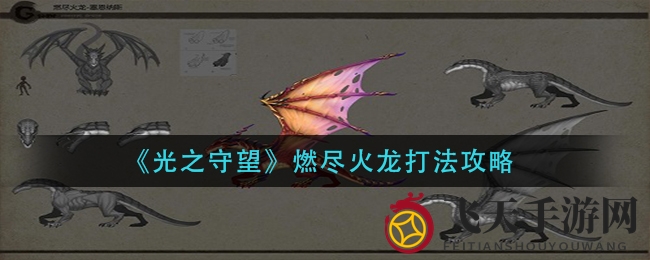 《光之守望》火龙战攻略：揭秘团队战术，畅享战斗巅峰之旅