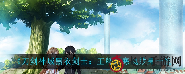 《刀剑神域黑衣剑士》寒魄解析：神秘技能卡助战力大增