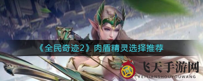 《全民奇迹2》挑选肉盾精灵技巧大揭秘，助你畅游奇幻冒险世界