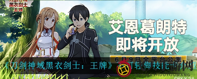 《刀剑神域黑衣剑士：王牌》揭秘双手斧新技能卡，不可轻侮魅力全解析
