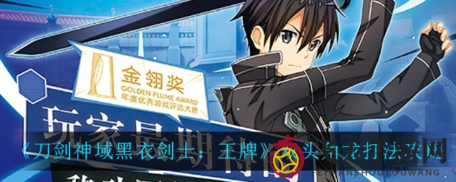 《刀剑神域》BOSS挑战揭秘，双头角龙战法攻略助你通关