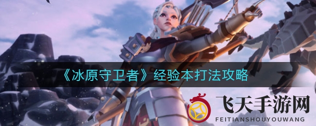 《冰原守卫者》攻略揭秘：装备技巧助你轻松挑战升级