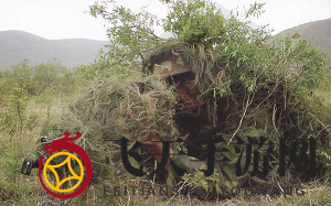 《全军出击》揭秘：战场空投神秘武器，生存新战术一网打尽