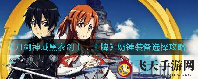 《刀剑神域黑衣剑士》奶妈升级利器，装备选择攻略全解析
