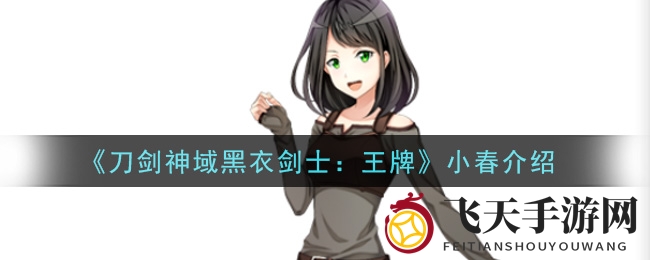 《刀剑神域黑衣剑士：王牌》传奇小春，携手主角勇闯百层浮游城，揭秘神秘冒险之旅