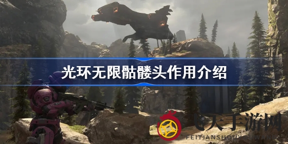 《光环无限》骷髅头宝藏解密，12种独特技能等你发掘